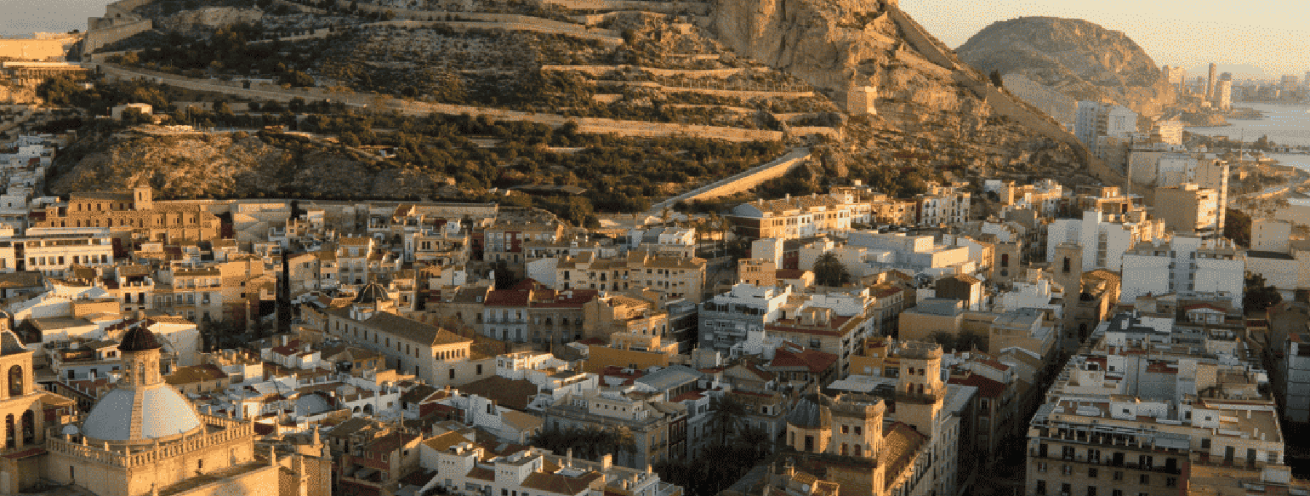 agencia de marketing en Alicante